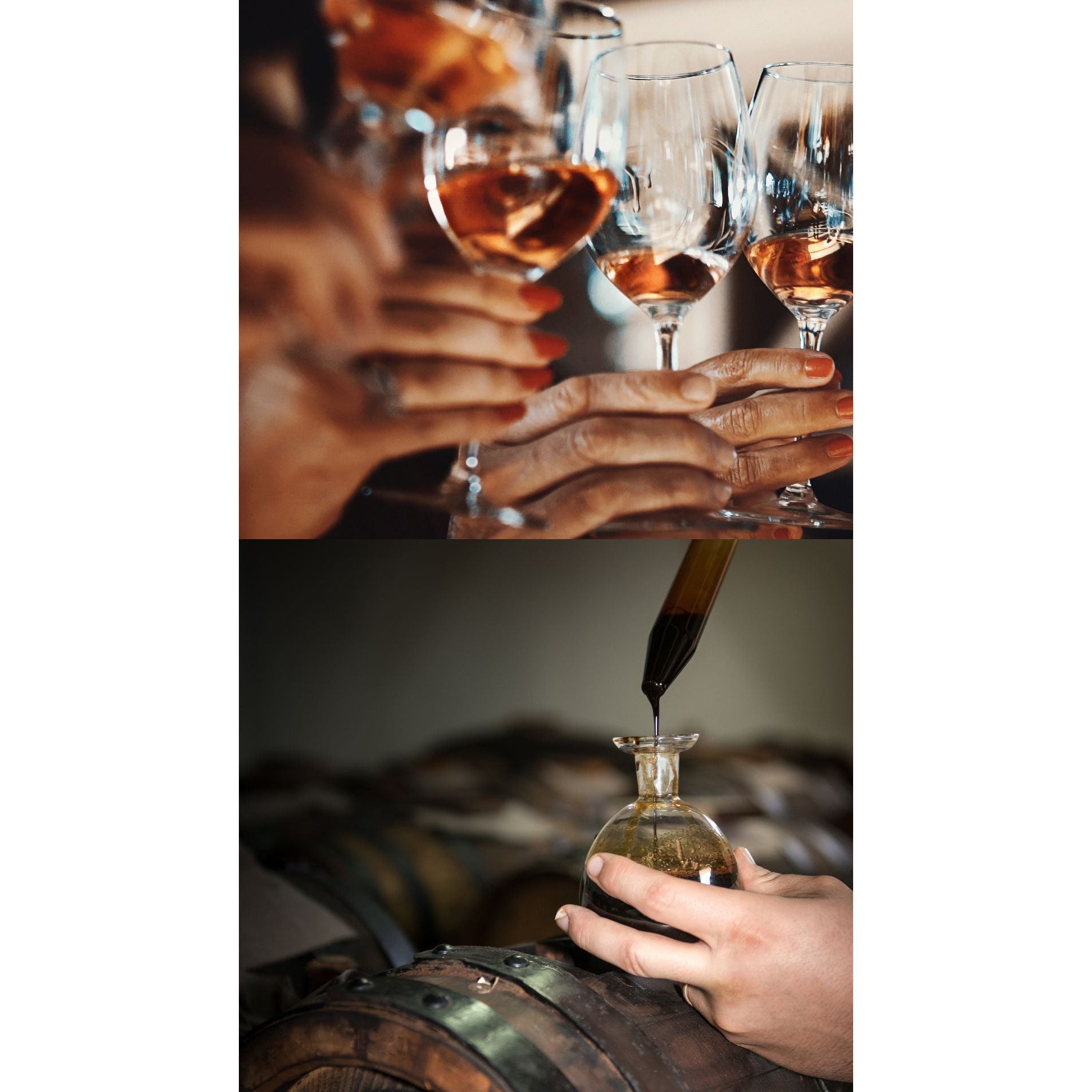 Wine + Giusti Selection Experience 30.01.2026 19 Uhr