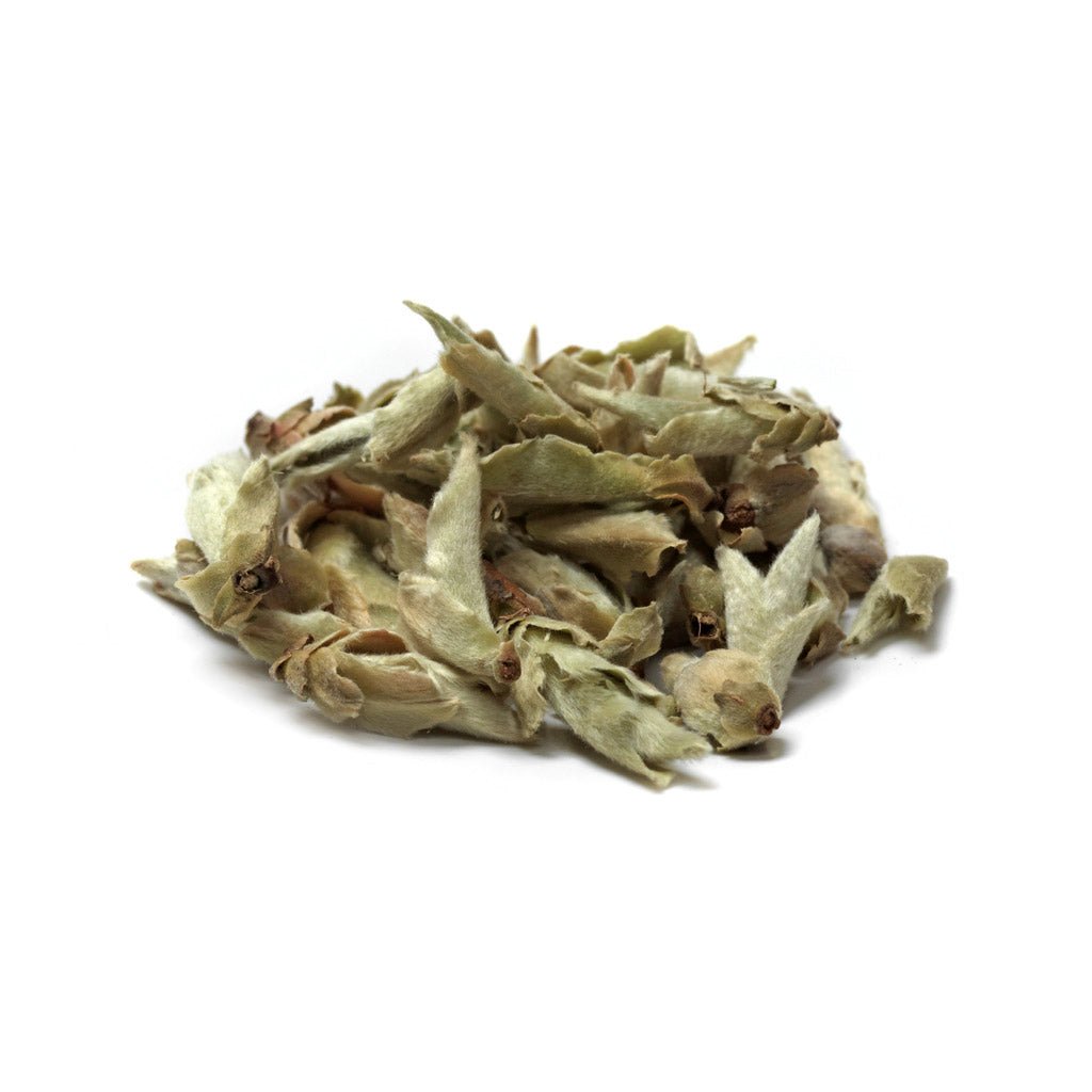 Pu Er Bai Ya No. 103 Loser Tee (40g) - Gourmet Markt - Paper & Tea