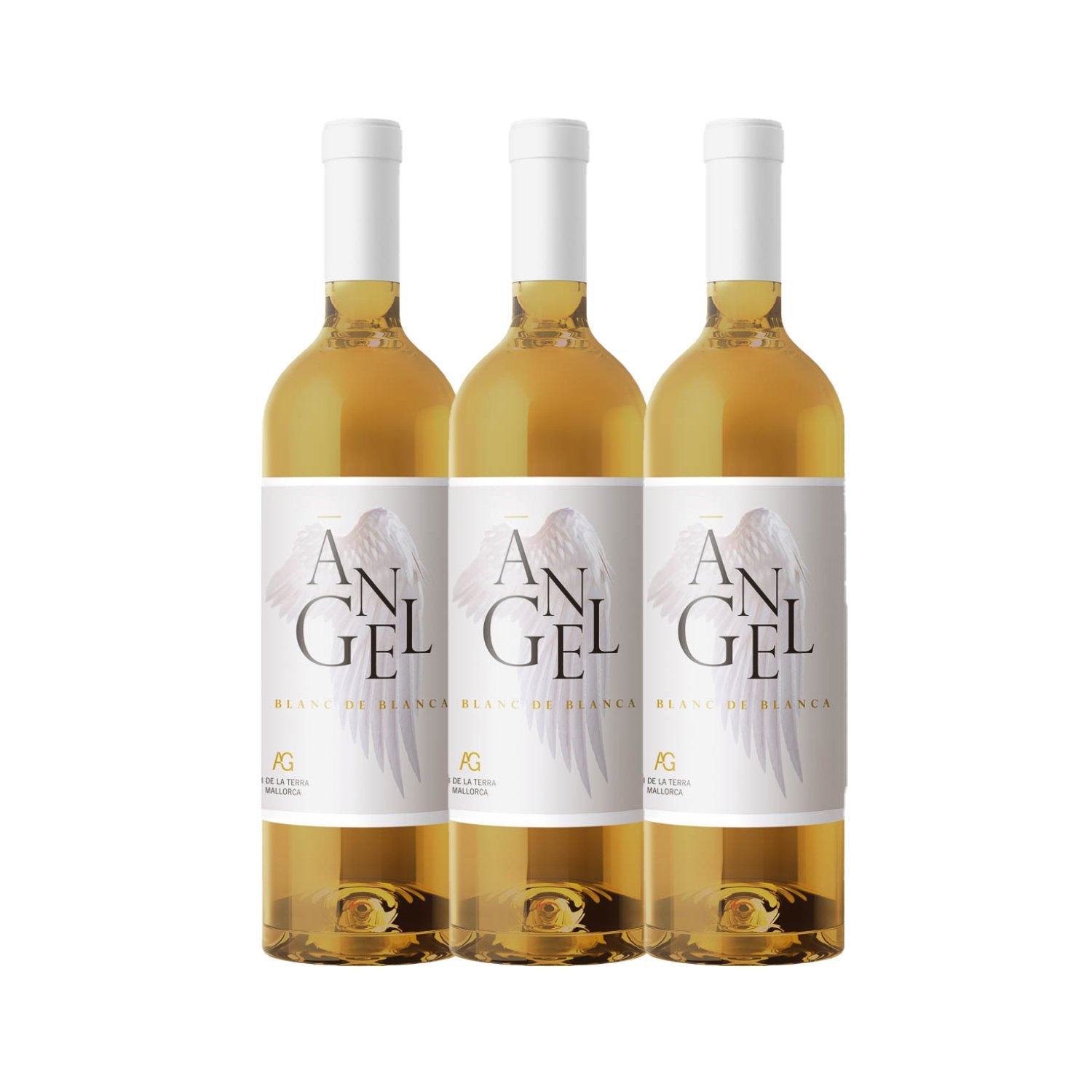 SET "Weisswein Angel Blanc de Blanca 2020" - Gourmet Markt - Bodegas Angel