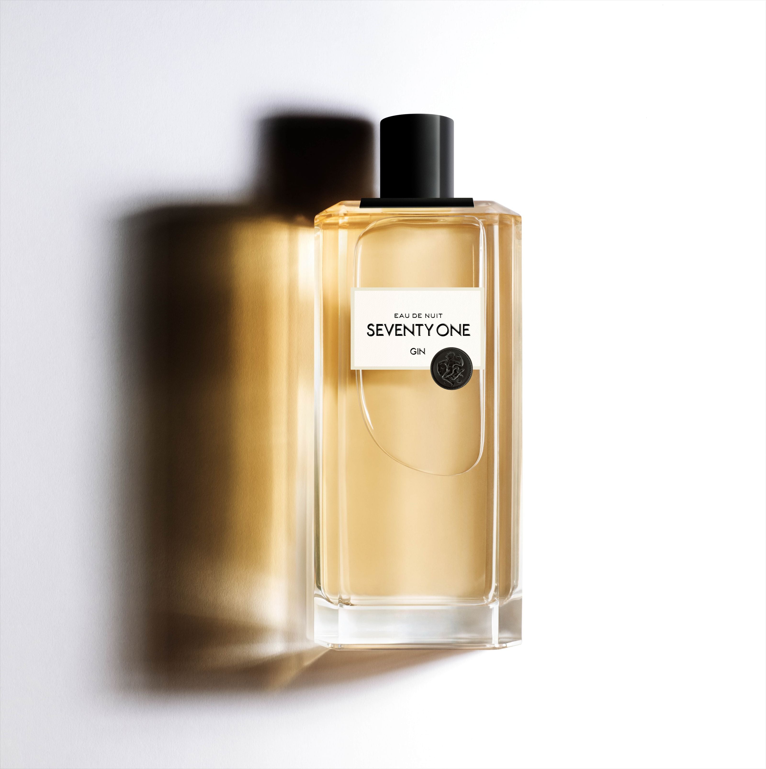 Gin "Eau de Nuit" (0,7l)